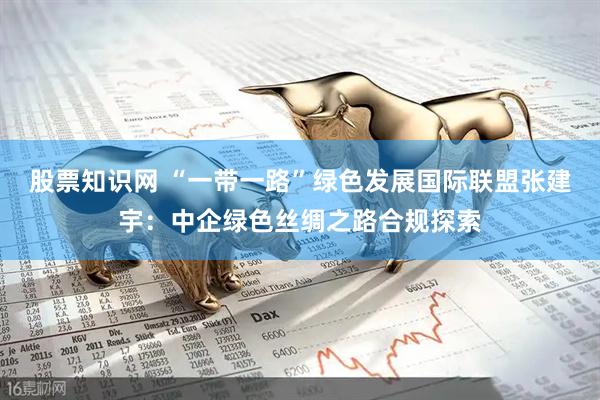 股票知识网 “一带一路”绿色发展国际联盟张建宇：中企绿色丝绸之路合规探索