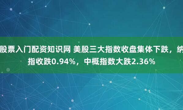 股票入门配资知识网 美股三大指数收盘集体下跌,纳指收跌0.94%,中概指数大跌2.36%