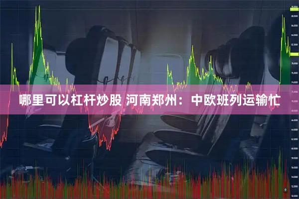 哪里可以杠杆炒股 河南郑州：中欧班列运输忙